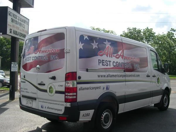 Vehicle Window Decals, Graphics and Lettering