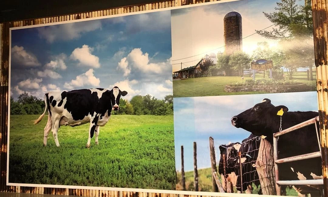 Wall Graphics, Murals, and Custom Wallpaper