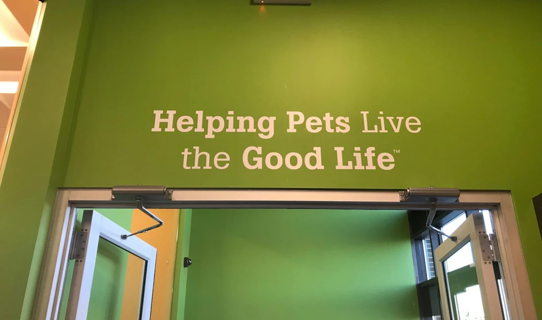 Wall Graphics, Murals, and Custom Wallpaper