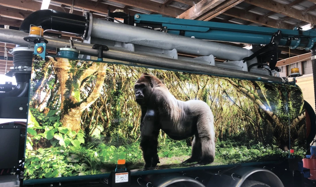 Bay Area Environmental Services Gorilla Truck Wrap