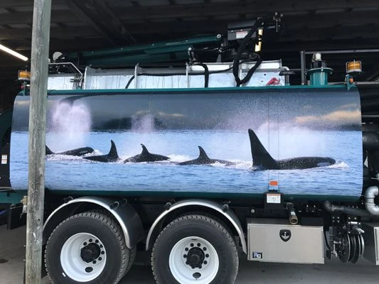Full Vehicle Wraps - Tampa