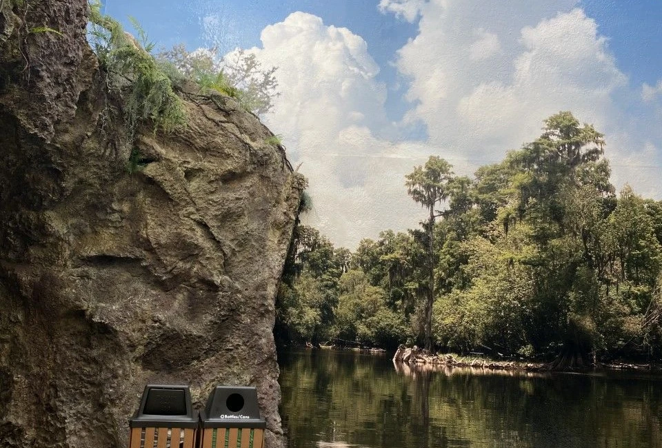 Tampa Aquarium Wall Graphics, Murals, Wallpaper