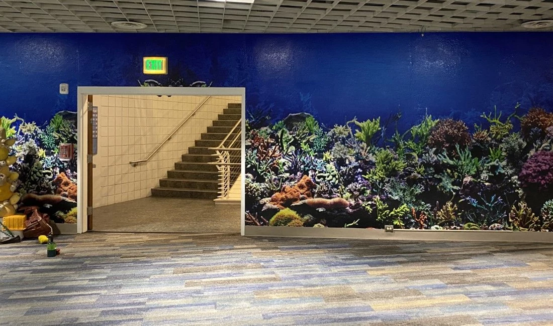 Tampa FL Aquarium Wall Graphics, Murals, Wallpaper