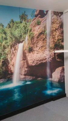 Wall Graphics, Murals, and Custom Wallpaper