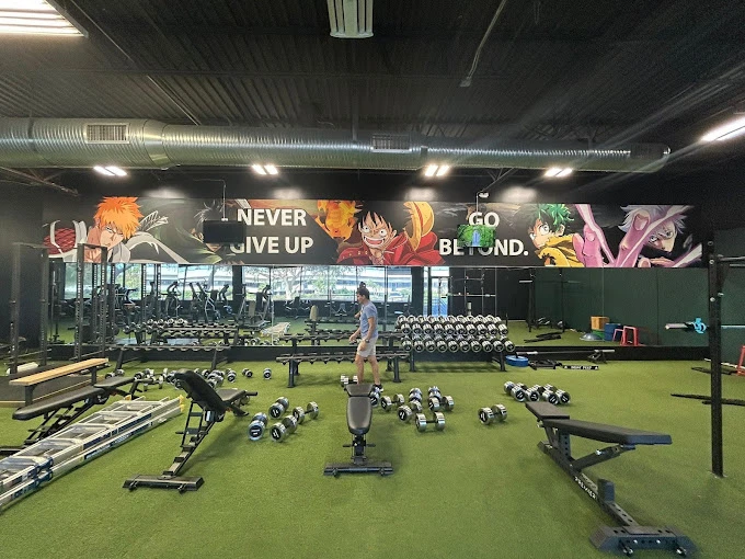 Wall Graphics, Murals, and Custom Wallpaper