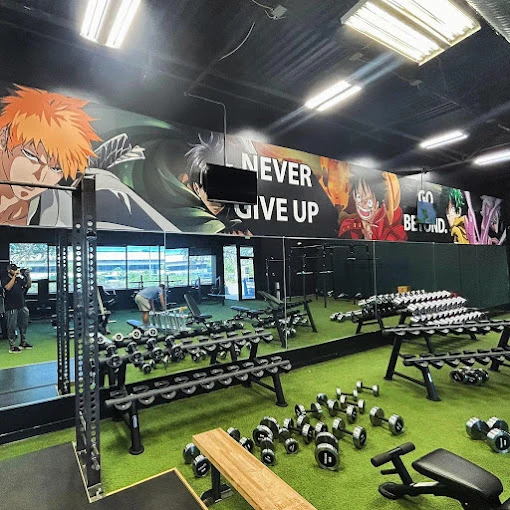 Transform gyms, health clubs, and fitness facilities with wall graphics, murals, and custom wallpaper. Inspire and energize your space!
