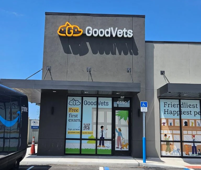 Storefront and Building Channel Letters
