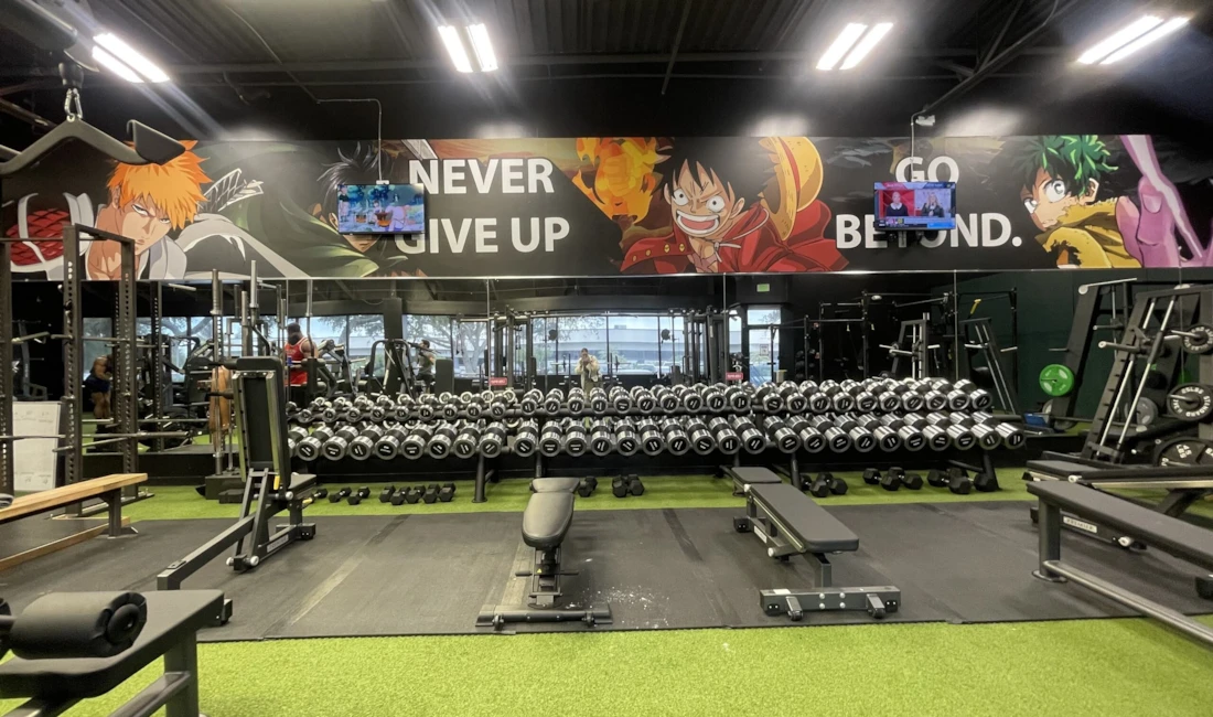 Custom Wall Wraps