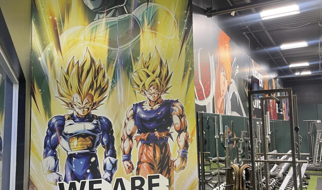 Custom Wall Wraps